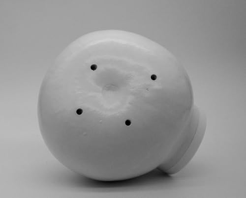 White Purple Martin Gourd Birdhouses – Pack of 10 Colony Nesting Gourds with Side Clean-Out – 12–14″ Tall, 2″ Entrance Hole