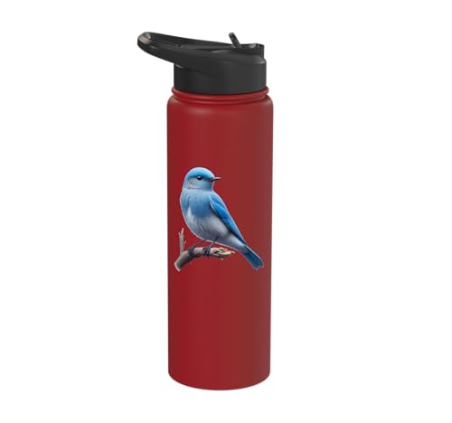 Bird Series. Mountain Bluebird. Stainless Steel Insulated Water Bottle - color: Red