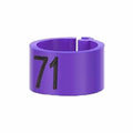 100 PCS Pigeon Leg Band Plastic Leg Band, Numbered Poultry Leg Band for Chicken Quail Dove Farm Identification(Purple) - color: Purple