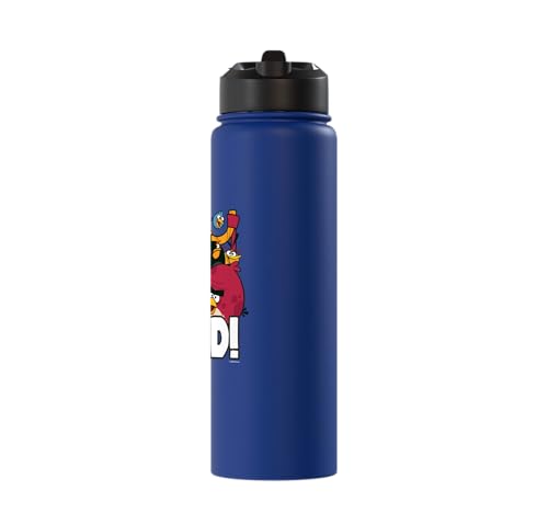 Angry Birds Group Bird is the Word Stainless Steel Insulated Water Bottle - color: Royal Blue