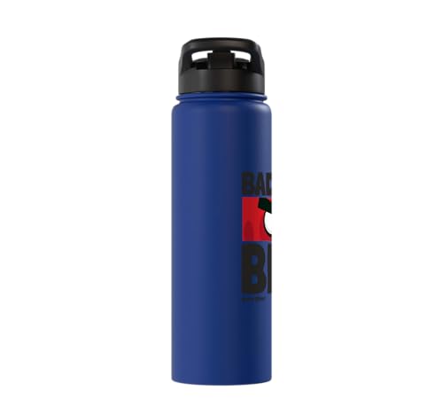 Angry Birds Red Bad Mood Bird Stainless Steel Insulated Water Bottle - color: Royal Blue