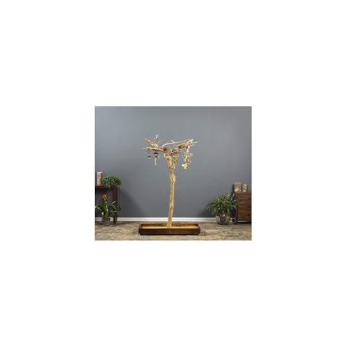 HomeStock Asian Fusion CoffeeWood Tree-Style Parrot Play Stand with Natural Design, Durable Perches, Feeding Bowls, and Spacious Activity Area for Birds Small - size: Small