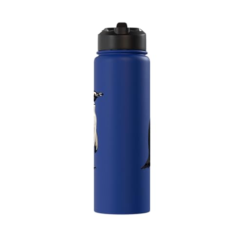 Penguin Stainless Steel Insulated Water Bottle - color: Royal Blue