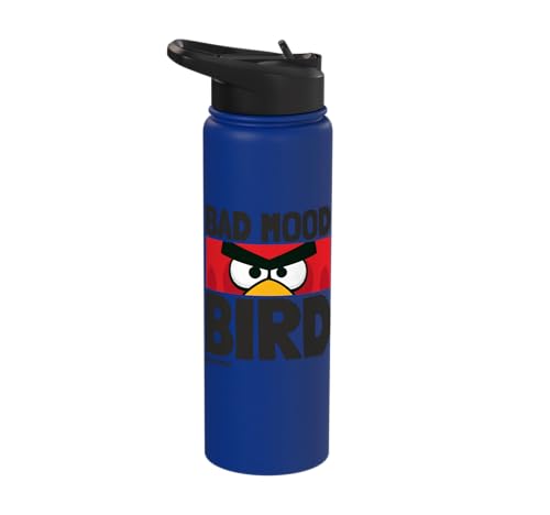 Angry Birds Red Bad Mood Bird Stainless Steel Insulated Water Bottle - color: Royal Blue