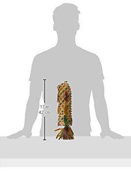 Planet Pleasures Spiked Pinata Sale Pinatas Natural Bird Toy, X-Large/17 - size: Extra Large 17"