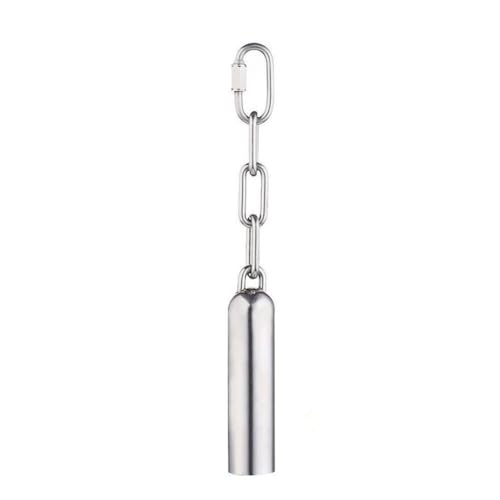 Bird Stainless Steel Bell Sweet Sound Hanging Bell - Toy Gift Bell for Parrots,African Greys,Macaws,Cockatiels,Squirrel,Pigeon,Lovebird … - size: L