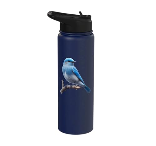 Bird Series. Mountain Bluebird. Stainless Steel Insulated Water Bottle - color: Navy Blue