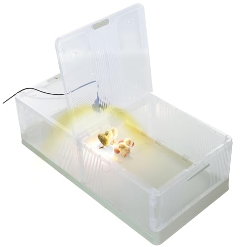 Large Transparent Chicken Brooder Box Chick Incubator | 30-50 Indoor Chicken tractor Quail cage Chick Brooder Kit