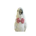 Bird Collar, Bird Clothes, Parrot Bird Supplies, Cute Collar for Medium and Large Birds Eclectus Cockatoo African Grey Amazon Bow Tie Scarf Super Cute Costume Photo Prop for Parrots (Red Bow) - style: Red Bow
