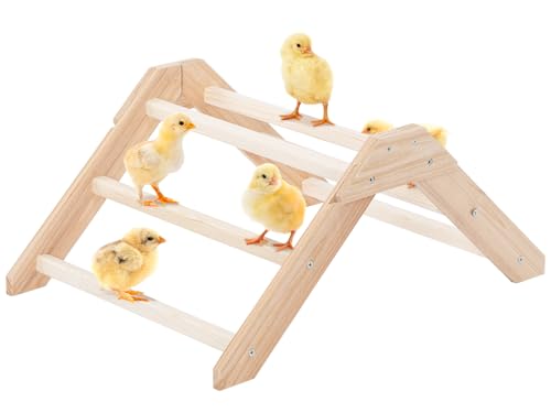 PETSFIT Baby Chick Roosting Bar, Anti-Rotation, Solid Wood, for Brooder | Fits Chicks and Small Birds, Thickened Wooden Perch, Safe for Brooder and Coop, Easy to Assemble and Clean, Non-Toxic Wood