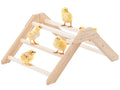 PETSFIT Baby Chick Roosting Bar, Anti-Rotation, Solid Wood, for Brooder | Fits Chicks and Small Birds, Thickened Wooden Perch, Safe for Brooder and Coop, Easy to Assemble and Clean, Non-Toxic Wood