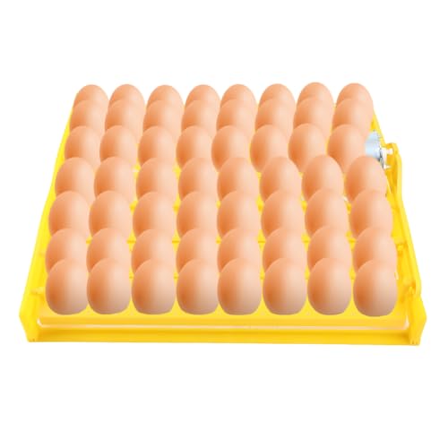 56 Egg Incubator, Automatic and Adjustable Egg Turning, Incubator for Chicken Eggs, for Hatching Poultry Chicken Duck Bird Quail (16.92x16.33x1.81 in Yellow 110V)