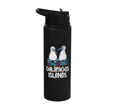 Galapagos Islands Seabirds Blue-footed Booby Bird Stainless Steel Insulated Water Bottle - color: Black