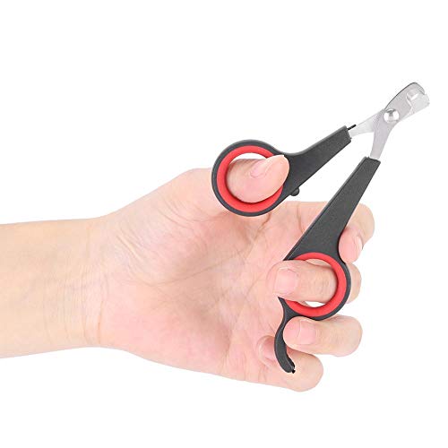 Bird Nail Clipper Grooming Tool Nail Scissors Clipper Pet Bird Parrot Small Animals Accessory for Small Parrot Birds
