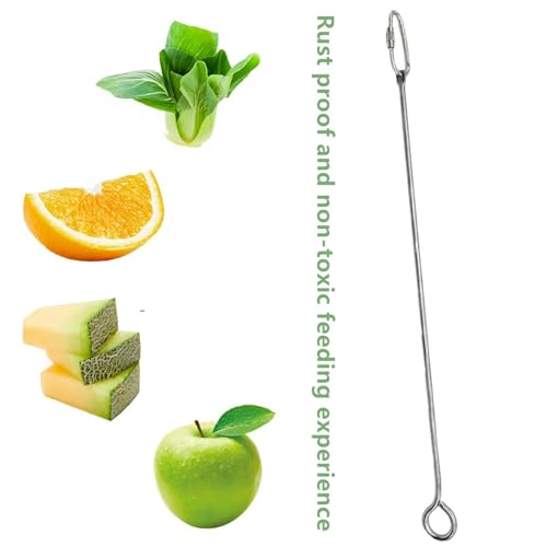 2 Pcs Bird Food Holder Small Animal Fruit Vegetable Skewer Hanging Feeders Toy Stainless Steel Feeding Stick Tool for Cage