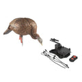 Avian-X LCD Feeder Hen Turkey Decoy with X-Factor Motion System – Realistic Lifelike Collapsible Standing Turkey, Durable Design, Carry Bag & Collapsible Stake for Hunting - style: HDR Feeding Hen