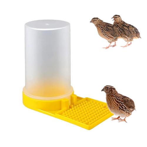 Large Capacity Quail Water Feeder, Quail Feeder, Baby Bird Button Quail Yellow Water Feeder, for Cage, Baby Chick Waterer, Ideal Feeders for Baby Bird