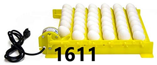 2370 - Electronic Thermostat Hova-Bator Incubator (Optional Egg Turner) (1611 Automatic Egg Turner w/ 6 Universal Egg Racks)