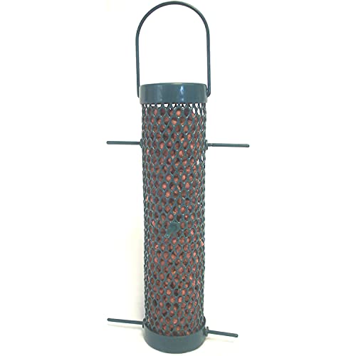 C&S Wild Bird Woodpecker Suet Nuggets Mega Box,8 Pounds,(Pack of 2) - size: 8 Pound (Pack of 2)