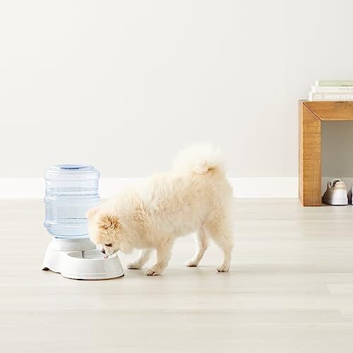 Amazon Basics Gravity Pet Water Dispenser for Cat and Dog, Easy to Clean, 135.3fl.oz Capacity, Small - size: Small, style: Waterer