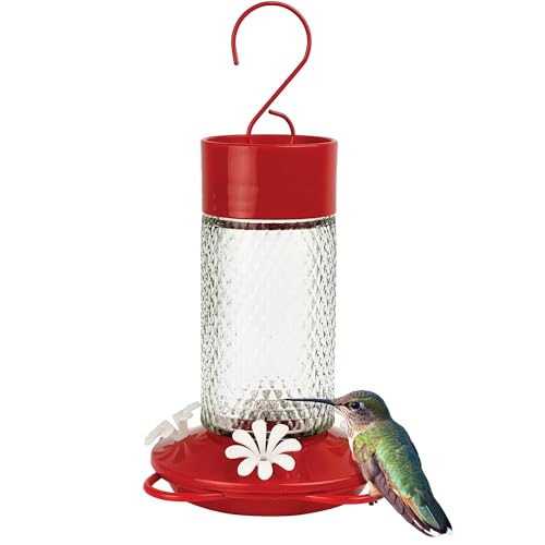 Nature's Way Hanging Glass Hummingbird Feeder for Outdoor Décor, 13 Ounce Capacity Nectar Feeder, Ant Moat, 4 Easy to Clean Flexible Ports, Red - style: 13 Ounce Capacity
