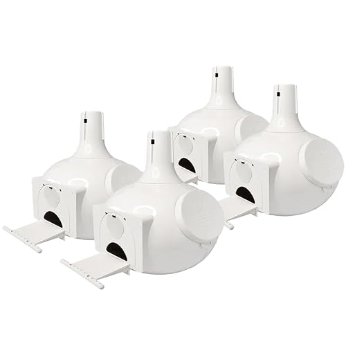 S&K Bo Eleven Plus Purple Martin Gourds, Pack of 4, Versatile