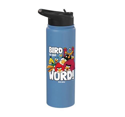 Angry Birds Group Bird is the Word Stainless Steel Insulated Water Bottle - color: Light Blue
