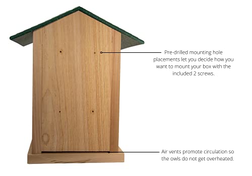 Screech Owl House Cedar Nesting Box with Poly Lumber Roof, Saw-Whet Owl Box for Outside, Drainage Ventilation, Easy Cleanout, Made in USA, Green - color: Green