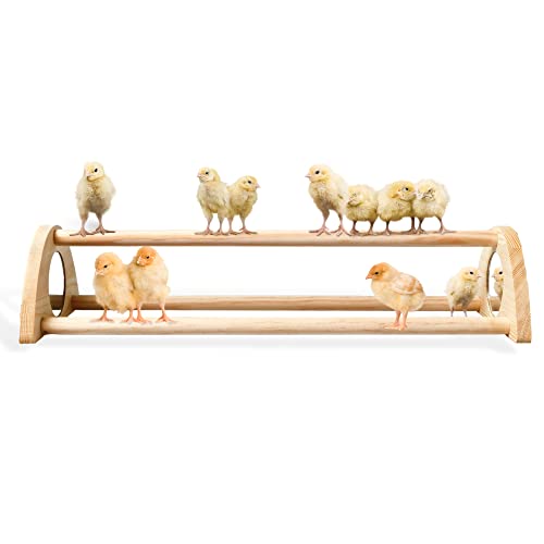 TonGass 16" Extra Long Chicken Perch, Durable Polished Bamboo Roosting Bar | Freestanding Roosting Bar for Baby Chicks with Built-in Mirrors for Entertainment, 15 3/4 x 6 5/8 x 3 1/2"
