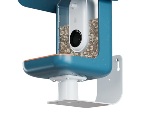 Birdbuddy Wall Mount for Bird Feeders, Walls & Fences, Weatherproof