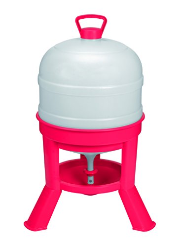 Little Giant® Plastic Dome Waterer | Heavy Duty Plastic Gravity Fed Poultry Waterer Container Tank | Chickens, Ducks & Other Birds for Hobbyists, Farmers and Ranchers | 8 Gallon - size: 8 Gallon