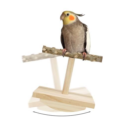 Natural Wood Bird Perch Stand, Rocking Perch for Bird Stand Swing (Small) | Intelligence Puzzle Training Wood Parrot Tumbler Toy,Playstand Birds Accessories for Parakeets,Cockatiels,Budgies,Conures - size: Small