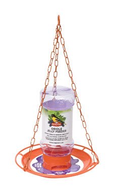 Perky-Pet Oriole 32 oz. Plastic Nectar Feeder 1 Ports