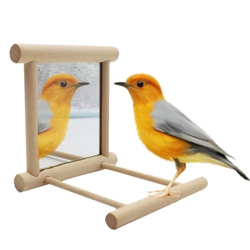 Litewoo Bird Mirror with Perch Parrot Swing Interactive Play Toys, 2 PC | Natural wood, with perch, 3.94"x3.94"x3.94", reduces loneliness, easy hang on cages, for small bird/parakeet/conure/lovebird - color: Bird Mirror Perch Stand-2 PCS