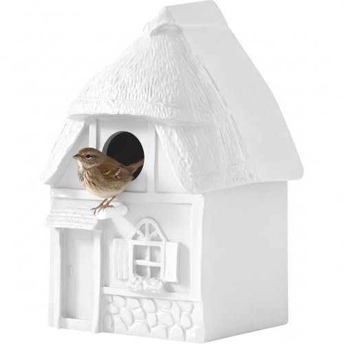 Bird House for Outside Clearance, Bird House for Outside, Composite Material Wren House, Water Proof Wall Tree Window Multi-moutable for Viewing Inside,, 10 Years Performance, White 1.25" Hole - color: White