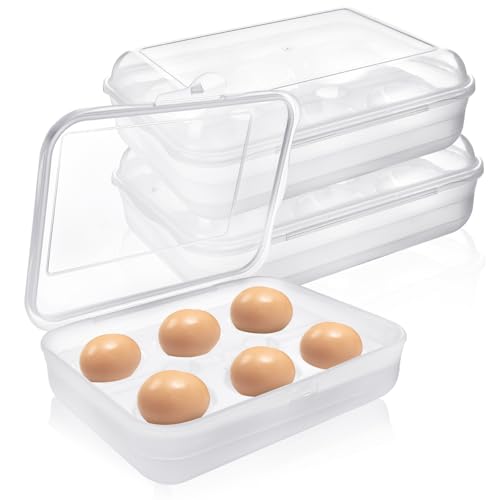 6 Grid Egg Container, Plastic Egg Carrier for Camping Picnic Travel-2Pcs | Shockproof & Portable Egg Tray Storage Box, Kitchen Crisper Egg Holder for Outdoor, Clear White