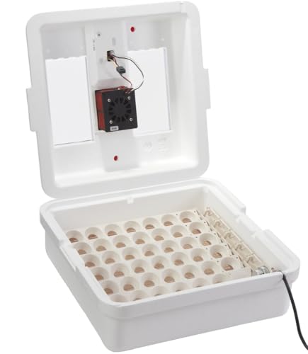 Little Giant® Digital Circulated Air Incubator with Automatic Turner | 41 Egg Capacity | Chick Egg Hatching Incubator with Fan and Egg Turner | Made in USA - style: Incubator with Fan and Egg Turner