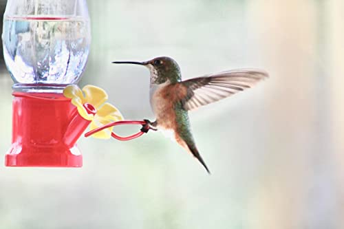 Mini Hummingbird Feeder 4 Pack 2.3oz Small Nectar Plastic Red Cute Hummingbird Feeders with Hanging Wires for Outdoor (Tulip Tube) - style: Tulip Tube
