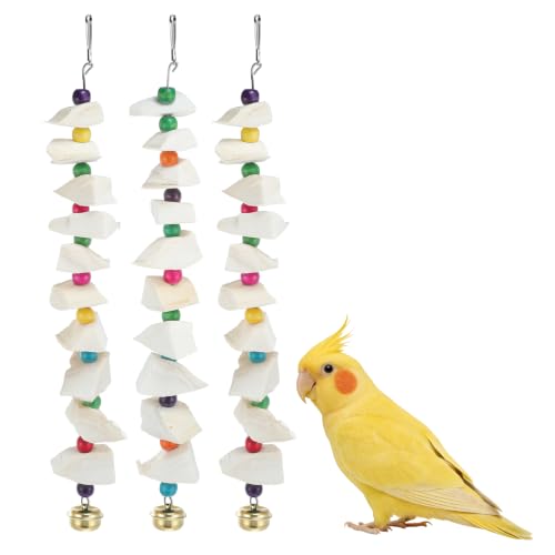 Bird Toys with Cuttlebone, Grinding Stone for Bird, 3 Pcs | Prevents Destructive Chewing, White, Colorful