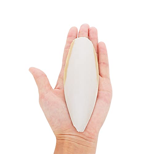 2 Pcs Cuttlebone Holder for Bird Cage - Bowl Stand Food Holder with 4 Pcs Cuttlebone for Parrot, Budgie, Conure (4.7-5.5 inch)