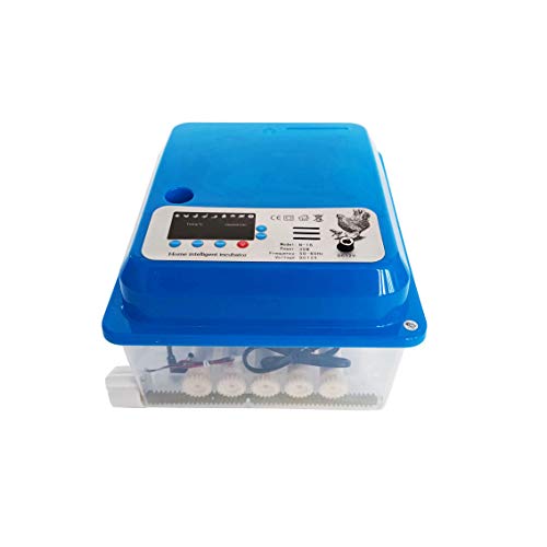INTSUPERMAI Eggs Digital Egg Incubator Hatcher Temperature Control Automatic - size: 16 Eggs