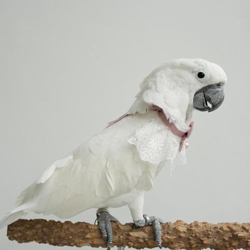 Bird Collar, Bird Clothes, Parrot Bird Supplies, Cute Collar for Medium and Large Birds Eclectus Cockatoo African Grey Amazon Bow Tie Scarf Super Cute Costume Photo Prop for Parrots (Pink Collar) - style: Pink Collar