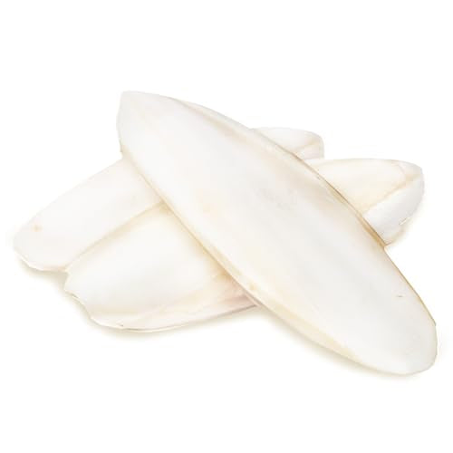 SunGrow 3 Pack Cockatiel Cuttlefish Bone, Calcium Addition to Bird Beak Care, Cage Mount Holder NOT Included, Support Shell Strength, Turtle, Shrimp, Dog, Snail, Aviary Clip, Accessory Reptile