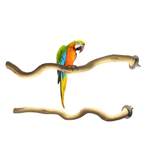 5 PCS Natural Parrot Perch Bird Stand Wooden Parrot Perch Stand Parakeet Climbing Standing Branches Toy for Small Lovebirds Budgies Cockatiels