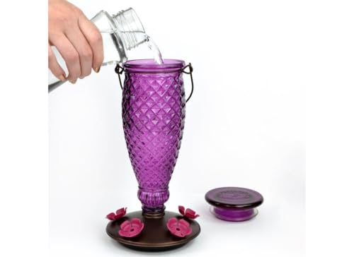 Perky-Pet Diamond Wine Top Fill Glass Hummingbird Feeder, 24 oz Capacity | Built-in Bee Guards for Outdoors, Purple Hanging Wild Bird Feeder, Easy to Clean