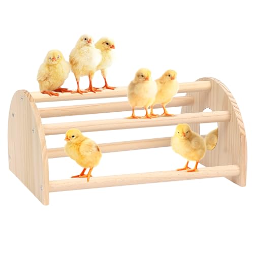 Pine Chicks Perch with Mirror, Strong Chick Jungle Gym Roosting Bar, Chicken Perch Toys for Coop and Brooder, Training Perch Toys for Large Bird, Parrot, Macaw, Hens (Large) - size: Large