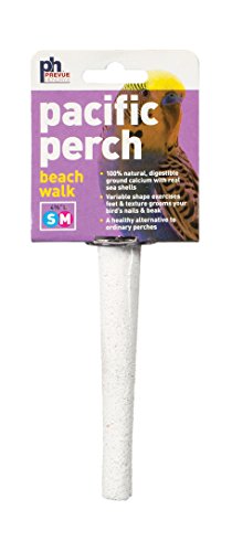 Prevue Pet Products Pacific Perch Beach Walk X-Small - size: X-Small