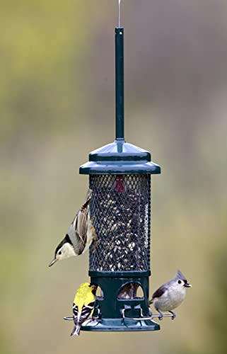Squirrel Buster Standard Squirrel-proof Bird Feeder w/4 Metal Perches, 1.3-pound Seed Capacity, garden green | Four metal perches, weight-triggered closure, chew-proof design, easy cleaning