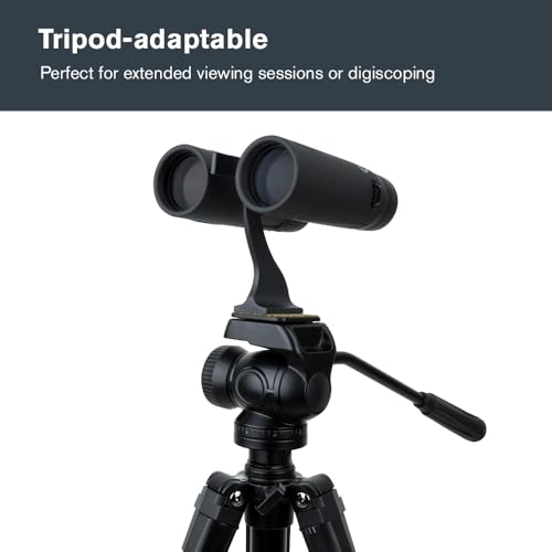 Celestron Regal ED 8x42 Binoculars with ED Glass for Birding & Nature | Premium ED Optics, Phase, Dielectric Coated BaK–4 Prism, Fully Multi–Coated Glass, 4.9 ft Close Focus, Tripod Adaptable - size: 8x42mm