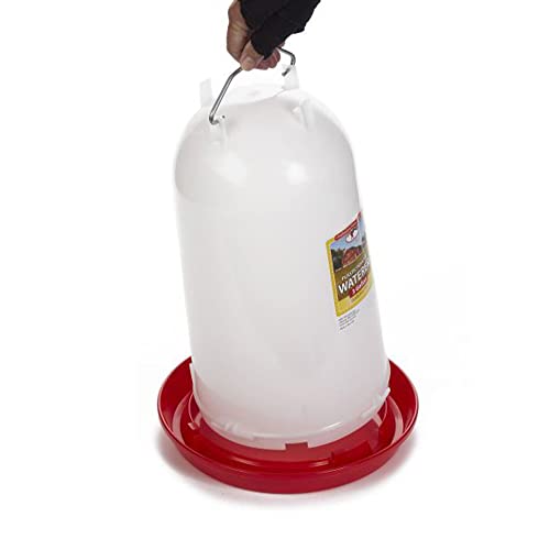 Little Giant Extra Large 3-Gallon Capacity Heavy-Duty Plastic Gravity Fed Poultry Waterer System (2 Pack)